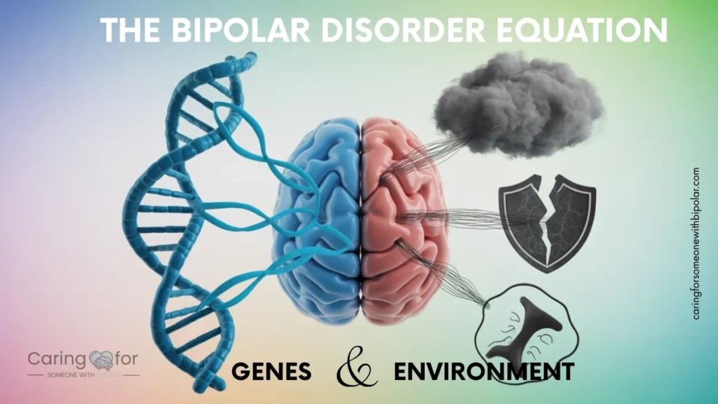 Illustration showing the answer of the question: "Is Bipolar Disorder Genetic" it show how genetic and environmental factors (such as stress or lack of sleep) combine to affect the brain to increase the risk of bipolar disorder.